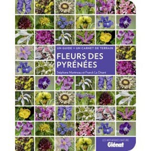 fleurs_des_pyrenees_15