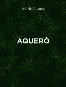 Aquero_17