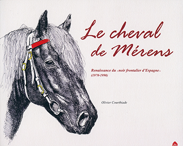 Le cheval de Merens T