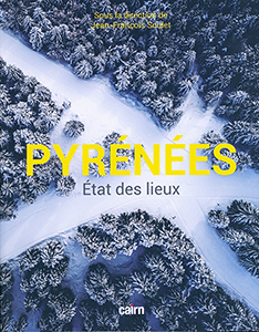 Pyrénées - Etat des lieux T 1