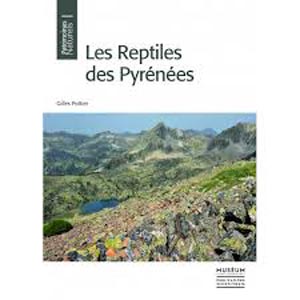 reptiles_17