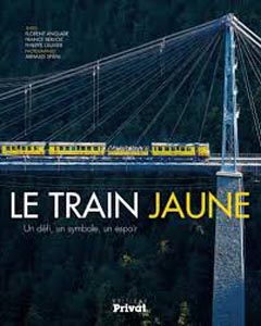 train jaune_17