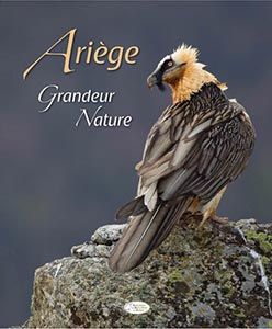 Ariege grandeur nature_w